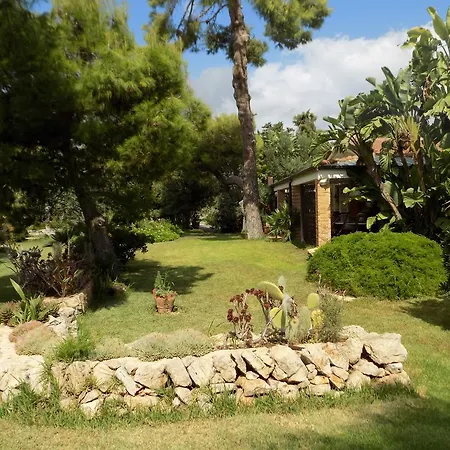 Asparano Anita Open Space Ognina